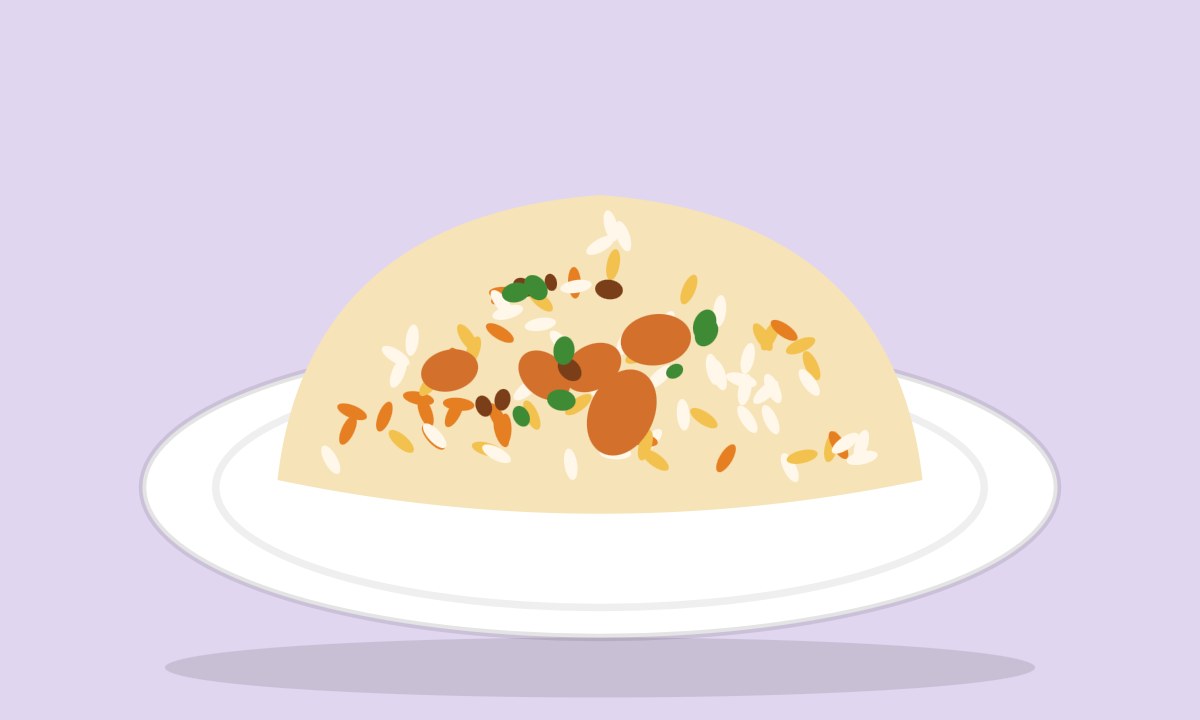 A drawing of Biryani
