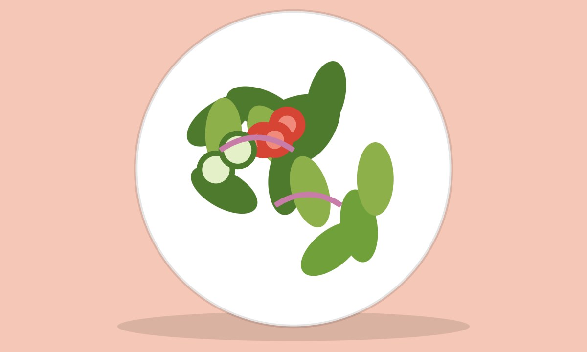 A drawing of Chicken Salad