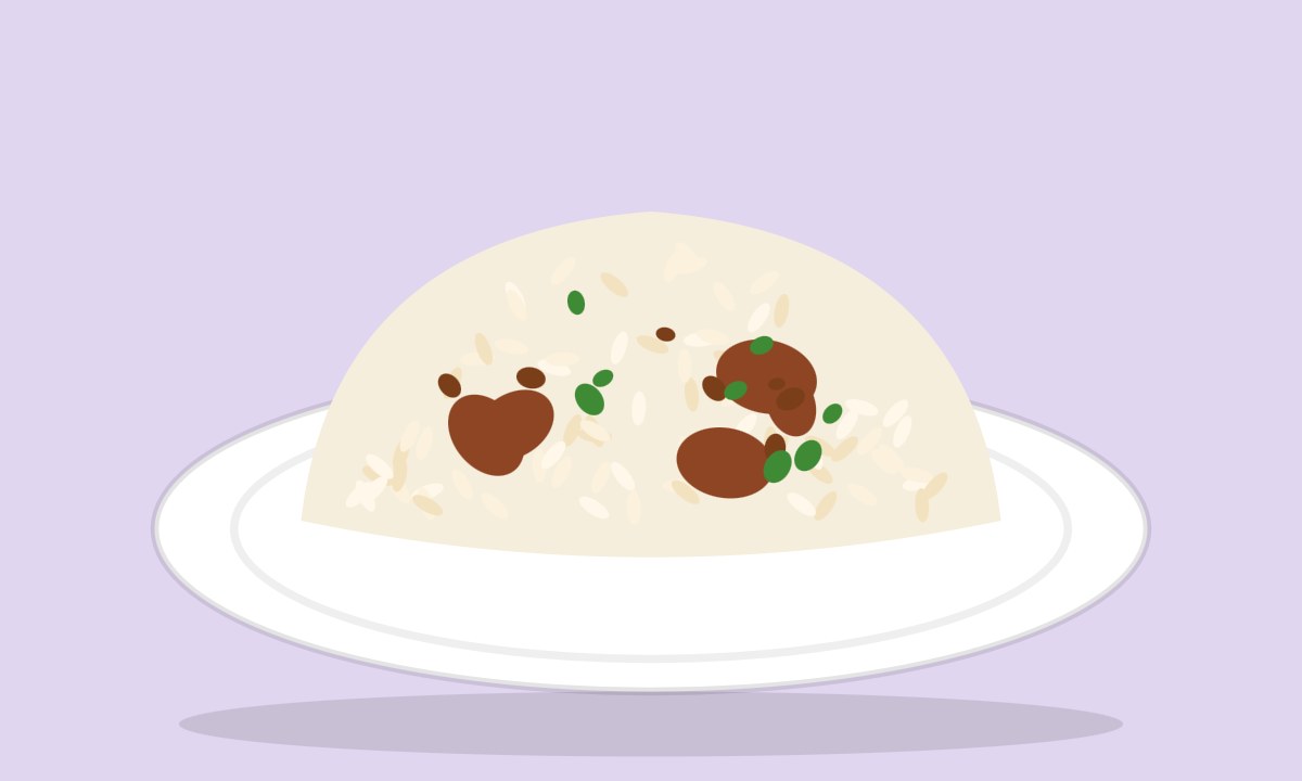 A drawing of Kabuli Pulao