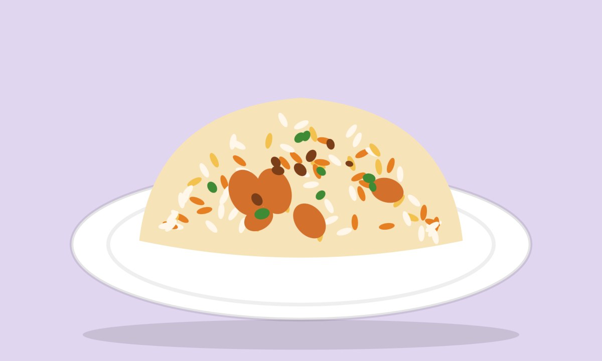 A drawing of Sindhi Biryani