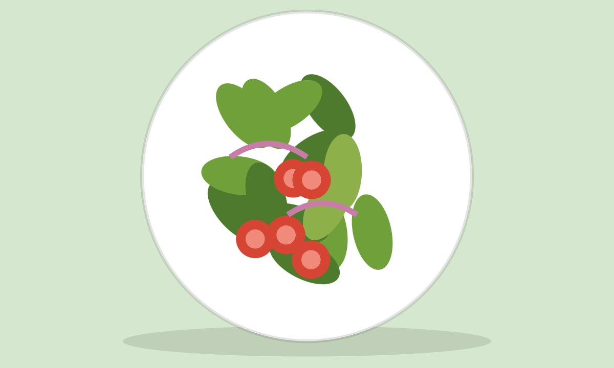 A drawing of Sweetcorn Salad
