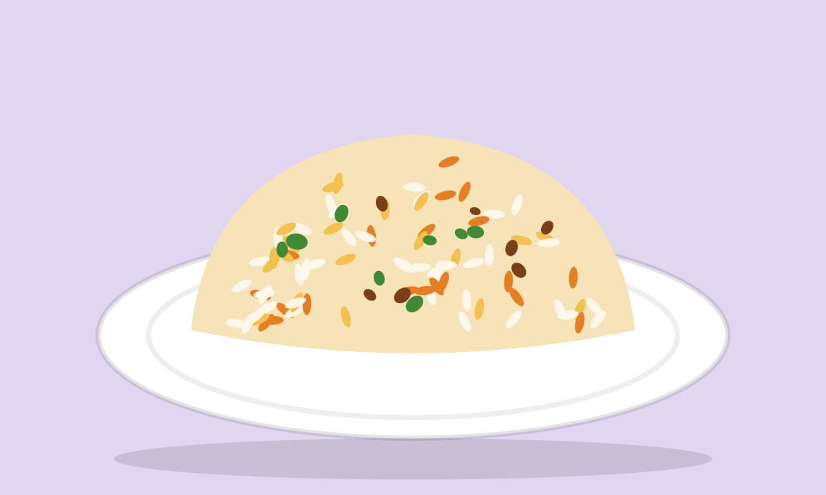A drawing of Vegetable Biryani